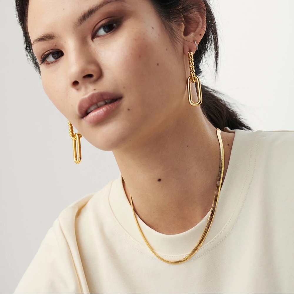 Flat Snake Chain Necklace